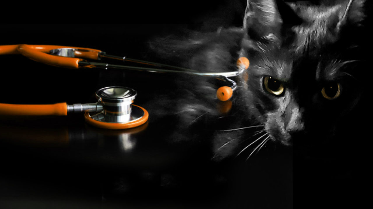 Services Pour Les Professionnels De La Sante Animale