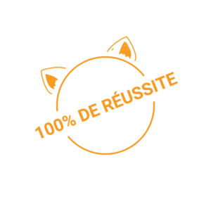 100% réussite