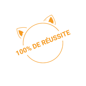 100% réussite